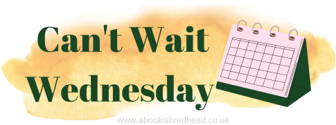I Can’t Wait For Someone I Used To Know By Paige Toon ( Can’tWaitWednesday #1)